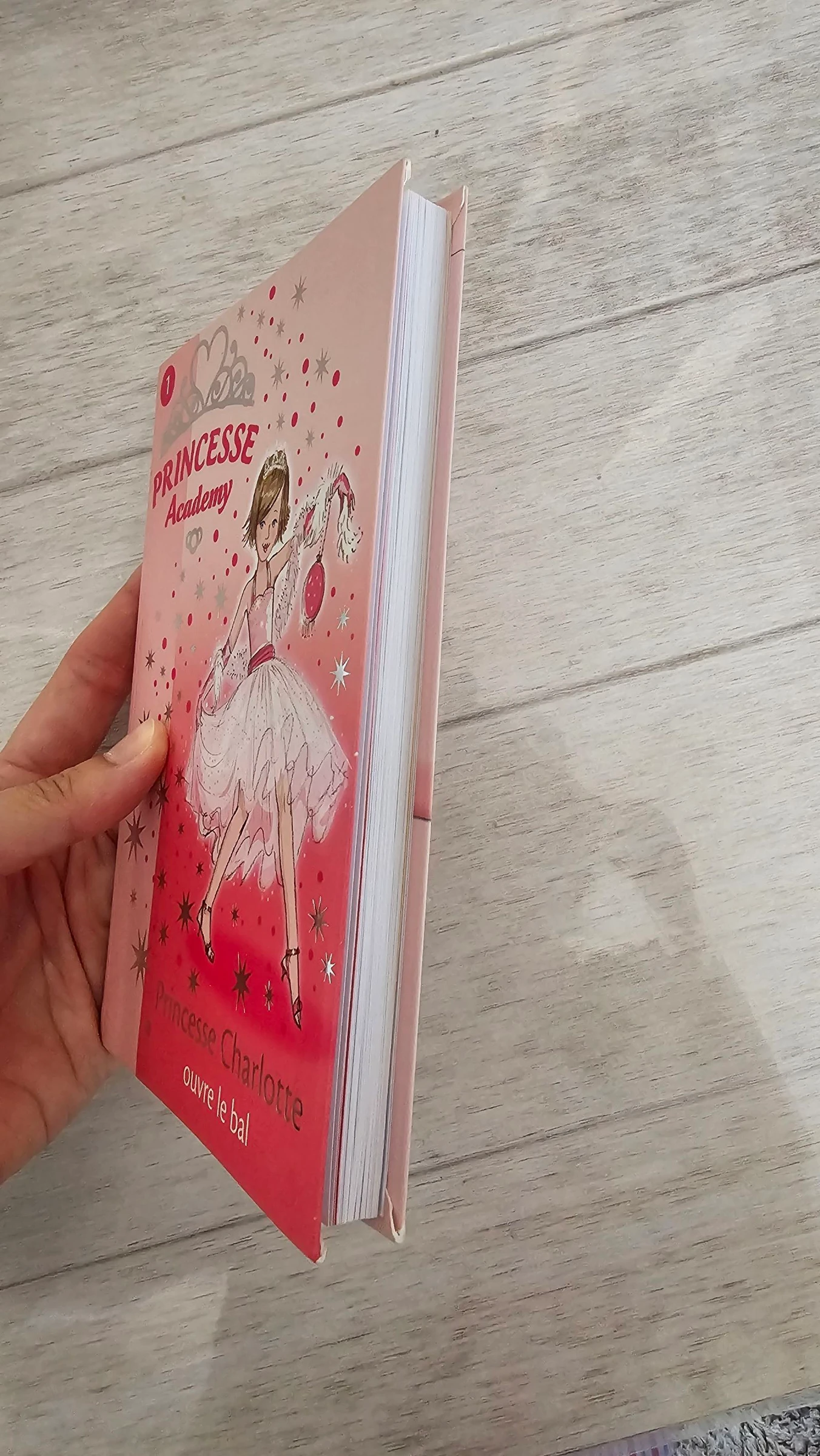 Tomo 1 _ princesa acadamy – photo 4